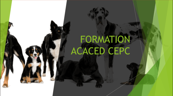 Formation ACACED CHIEN en e-learning